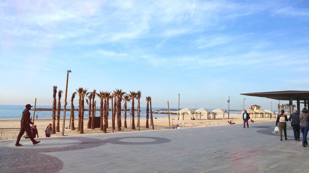 ისრაელი. საექსკურსიო ტურები