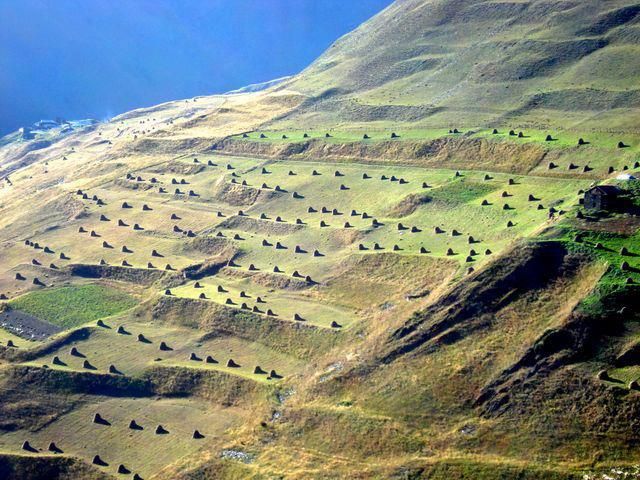 სექტემბერს "ოქროსფერი შემოდგომა" თუშეთში დღიანი ტური. ტელ: / /