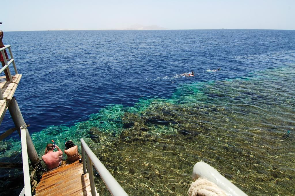 ეგვიპტე/შარმ ელ შეიხი სრული საგზურები !