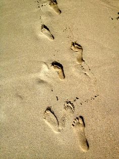 ლარნაკა