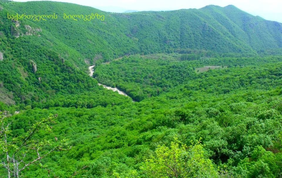 სამშვილდე, პირღებული, ასურეთი, შავნაბადა