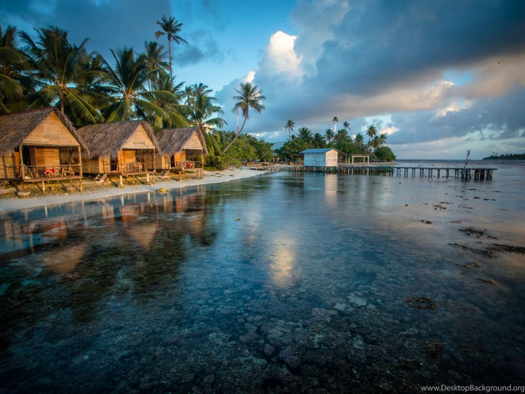 ეგზოტიკური მიმართულება - გოა - დღე - !