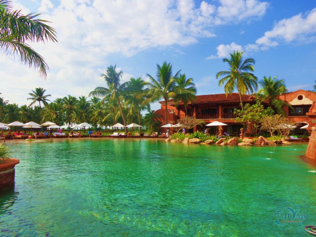 ეგზოტიკური მიმართულება - გოა  -  დღე -  !