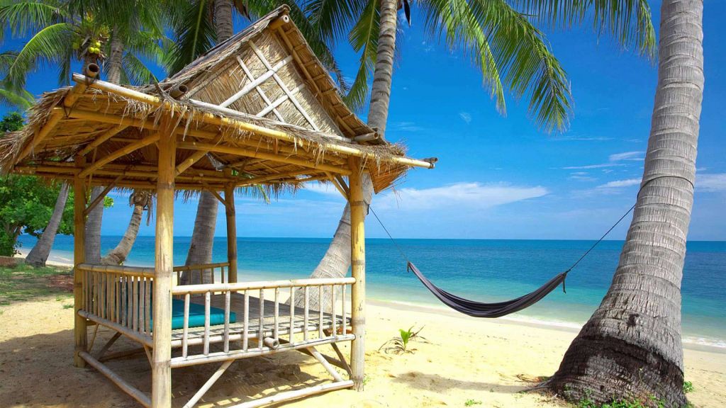 ეგზოტიკური მიმართულება - გოა  -  დღე -  !