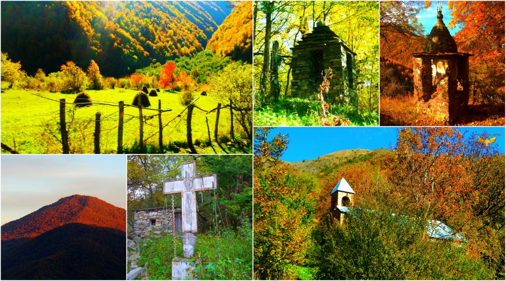 შემოდგომისფერი უკანაფშავი, შუაფხო