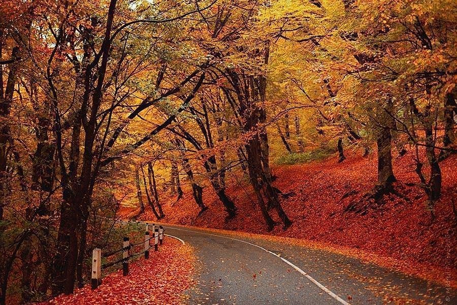 ეეთდღიანი ტური შემოდგომის კახეთში ოქტომბერს