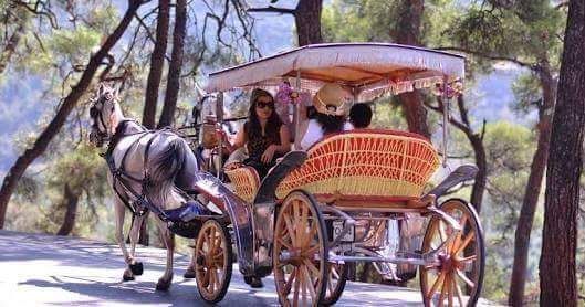 ექვსდღიანი ტური სტამბოლში პრინცის კუნძულებით!!!