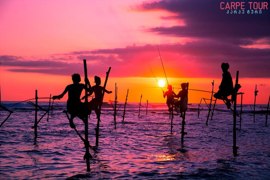 რამ რაც აუცილებლად უნდა გააკეთოთ შრი ლანკაზე მოგზაურობისას!