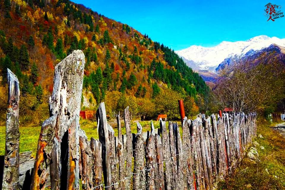 მოირონინე შემოდგომისფერი რაჭა - ცხრაჯვარი, ღები, გონა