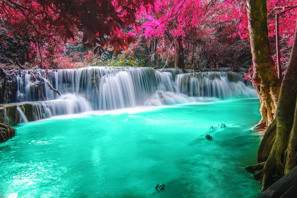 აქცია!!!  დღე ტაილანდში !!!