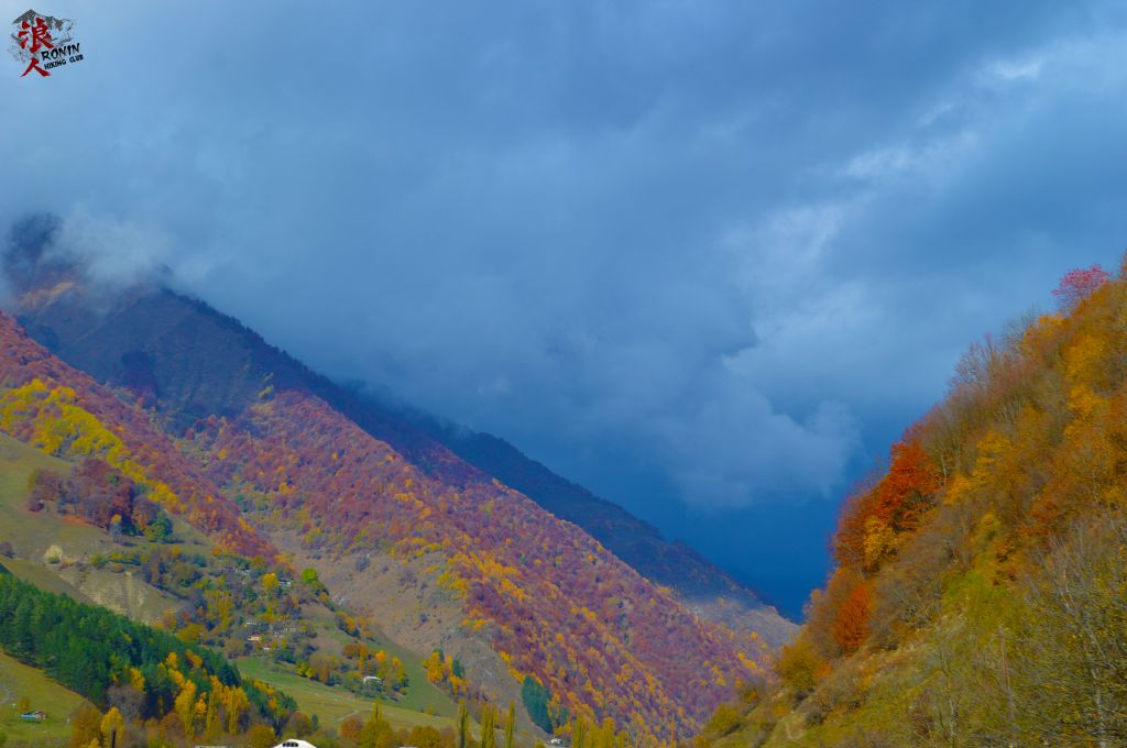 მოირონინე შემოდგომისფერი გუდამაყარი ოქტომბერს
