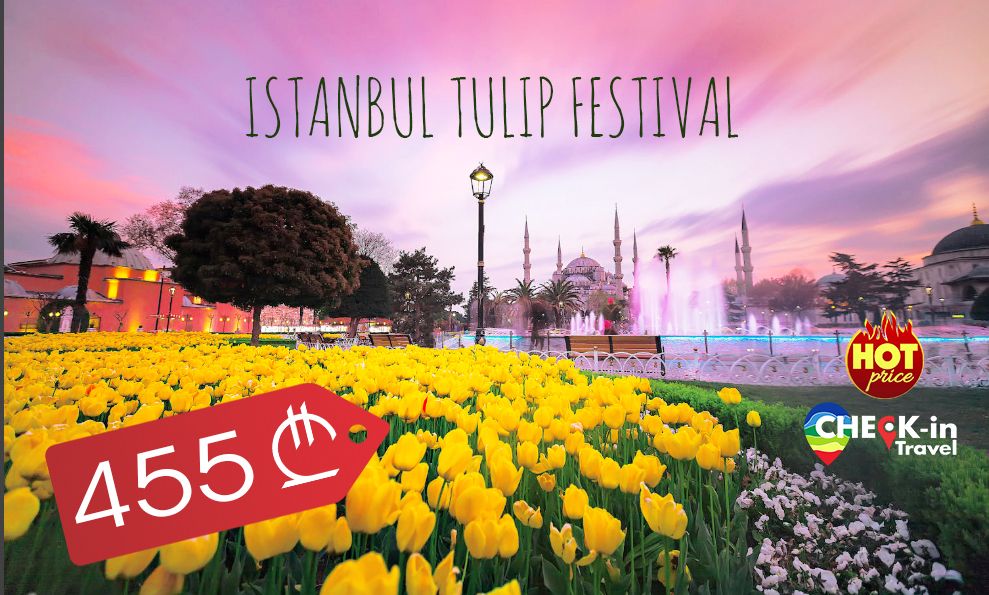 აქცია! ტიტების ფესტივალი სტამბულში !