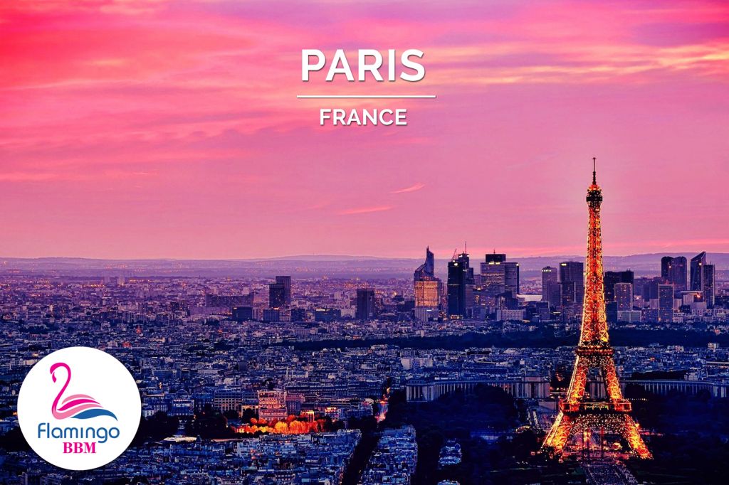 ◣ ახალი წელი პარიზში -  ლარი