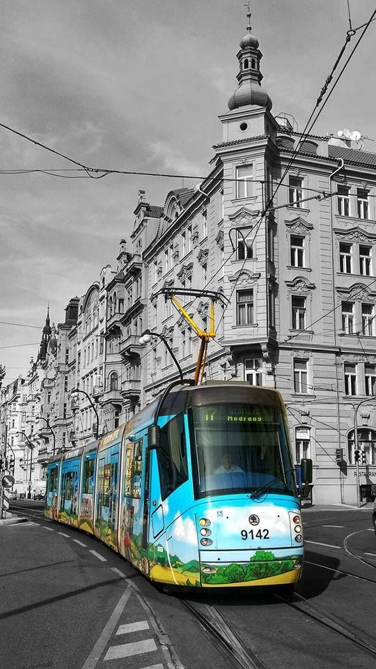 სრული სამოგზაურო პაკეტი ️⃣️️⃣️️⃣️ ლარიდან ❗