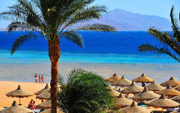 აქცია!!! შარმ ელ შეიხი - !!!