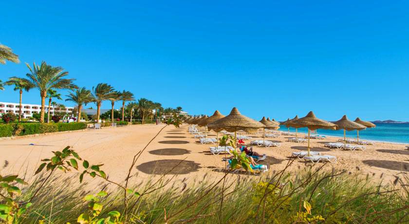 აქცია!!! შარმ ელ შეიხი - !!!