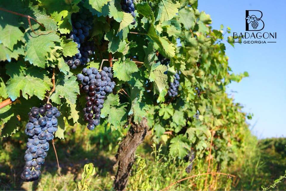 სიღნაღი-ბოდბე-ყვარელი-წინანდალი....