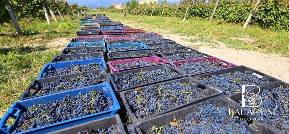 სიღნაღი-ბოდბე-ყვარელი-წინანდალი....