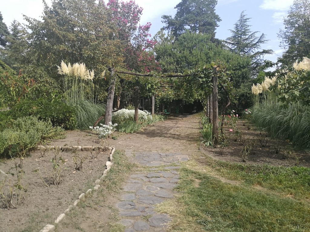 გრემი, ნეკრესი, ილიას ტბა და მუზეუმი, საჯარის ჩანჩქერი და ა.შ.