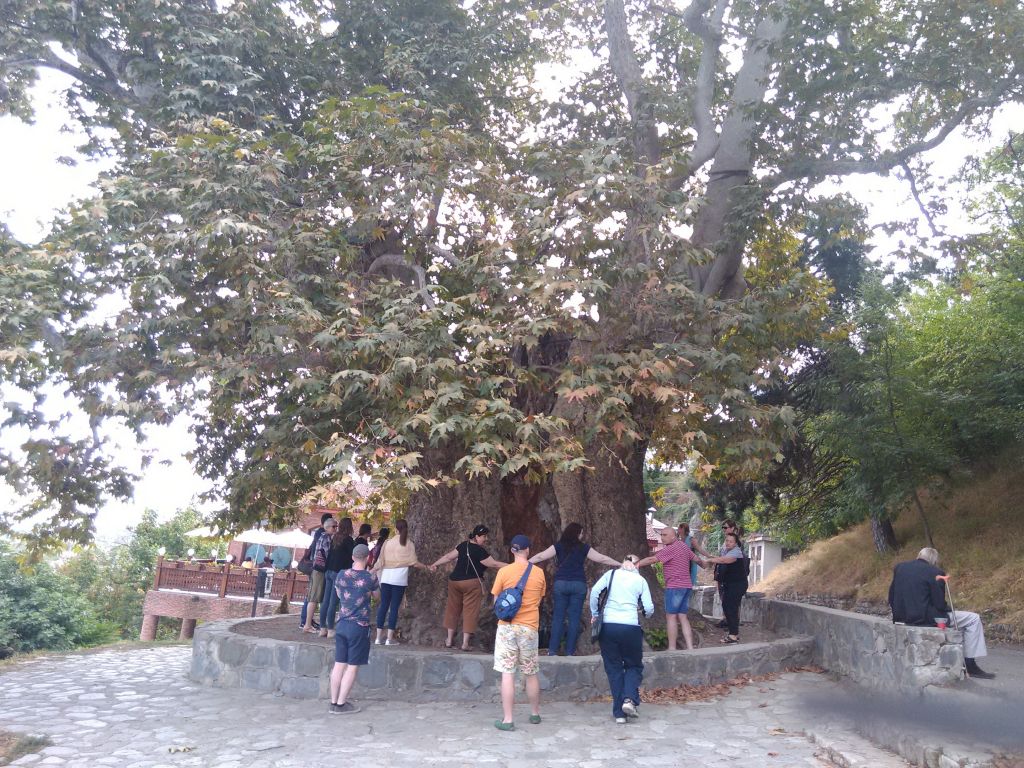 ღვინის ტური კახეთში : თელავი - წინანდელი - ახმეტა - ყვარელი : " მეღვინეობა ხარება " - კავკასიონის კლდეში ნაკვეთი ღვინის საცავი ... უნიკალური ქინძმარაული . . . !