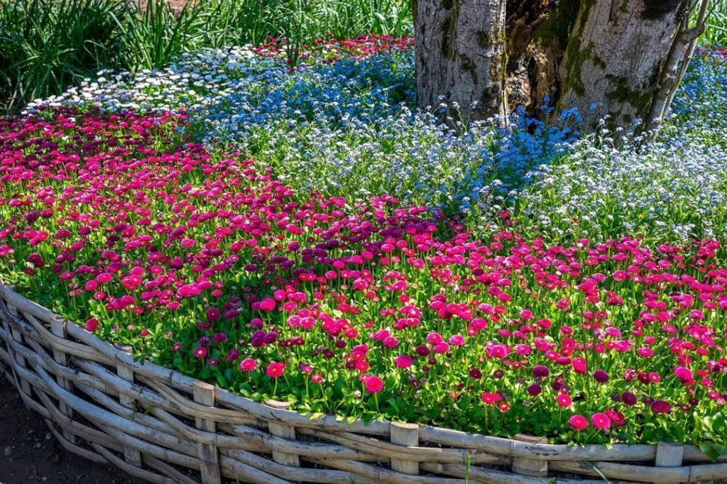 ბათუმი-მწვანე კონცხი-გონიოს ციხე.... ახალი ბულვარი...