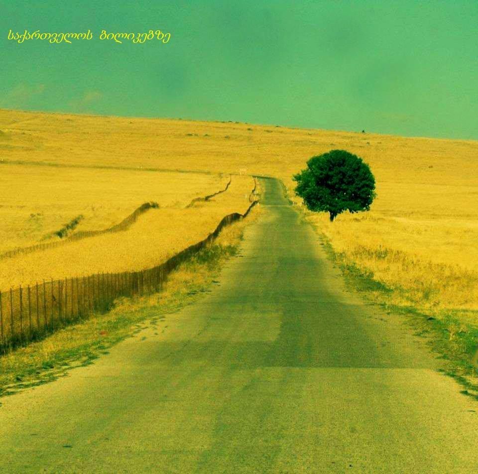 დავითგარეჯი ( ოქტომბერი, შაბათი)