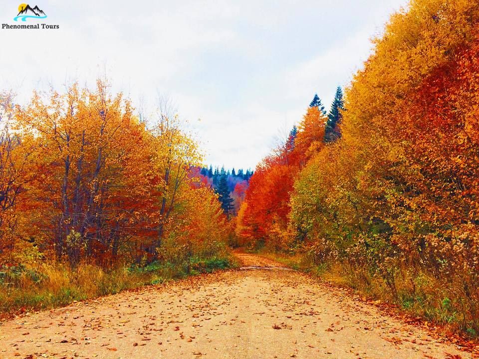 შემოდგომისფერი რაჭა   ოქტომბერს