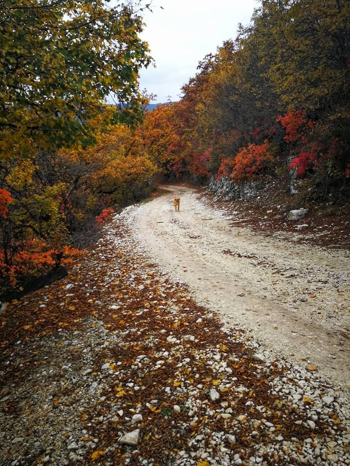 შემოდგომისფერი რაჭა ოქტომბერს