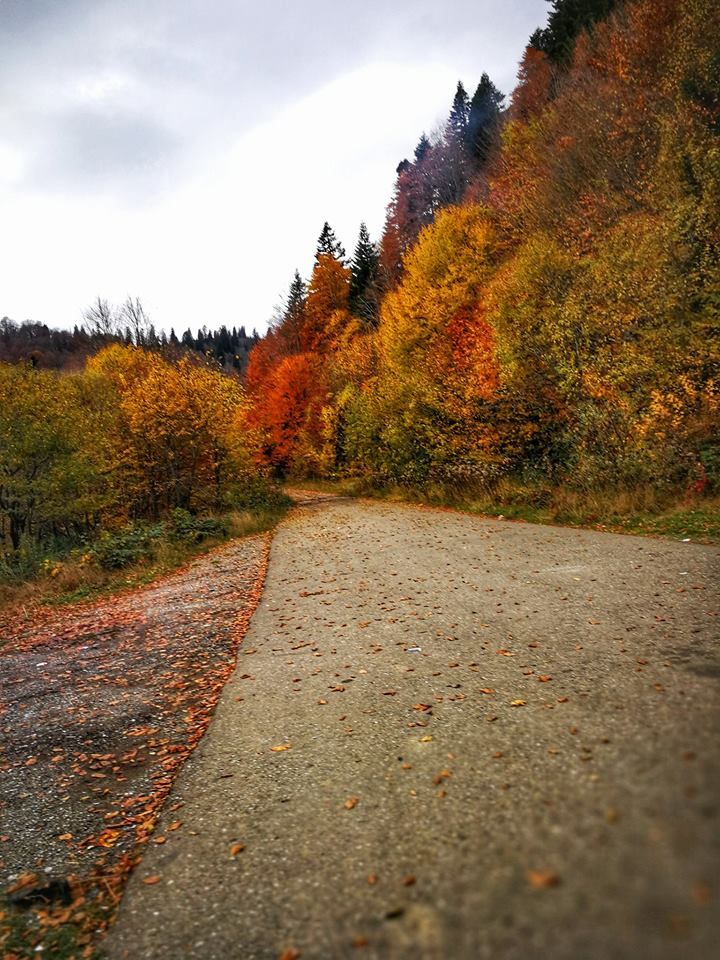 შემოდგომისფერი რაჭა ოქტომბერს