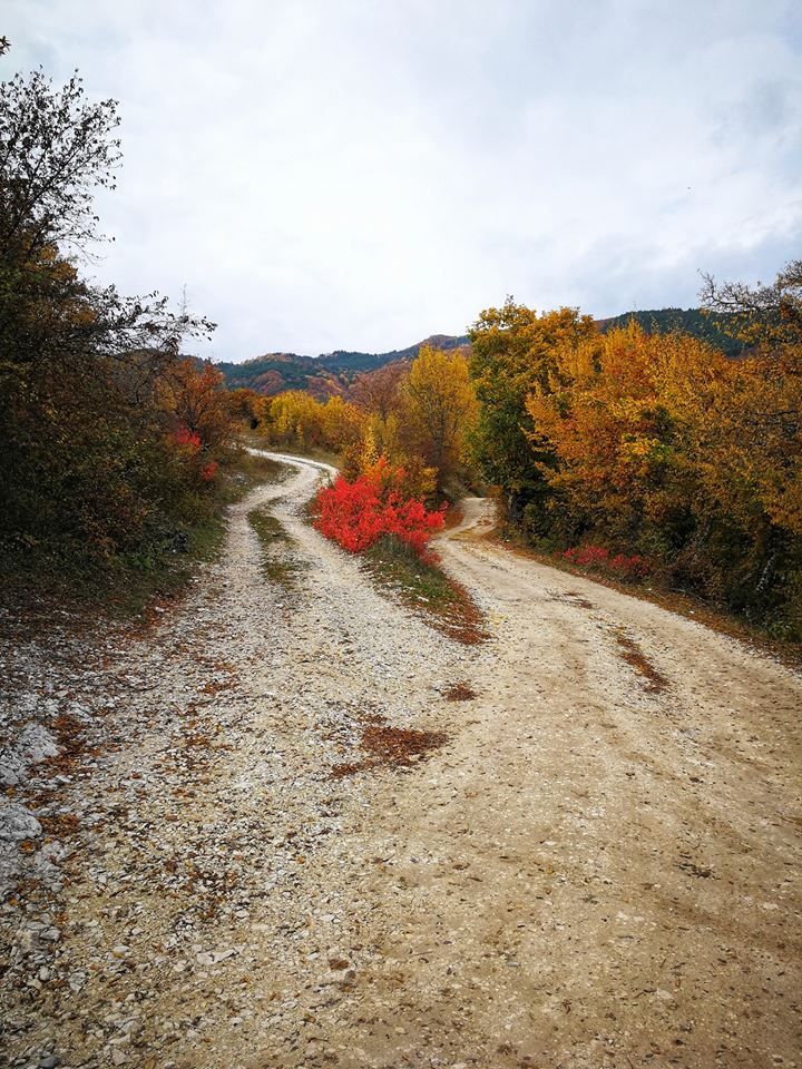 შემოდგომისფერი რაჭა ოქტომბერს