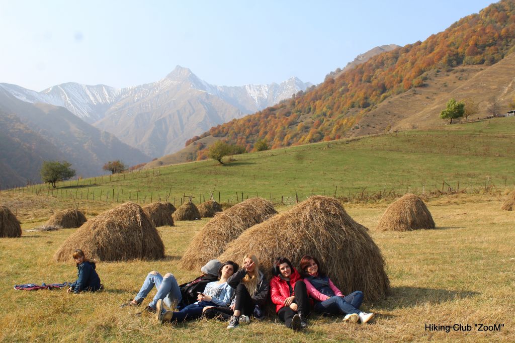 ოქროსფერი გუდამაყარი - ZooM