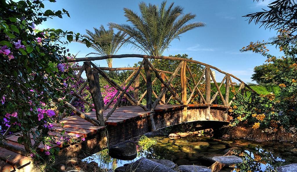 ეგვიპტე/შარმ ელ შეიხი! სრული საგზურები !!!