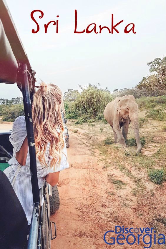 ცდუნება, სახელად შრი-ლანკა-