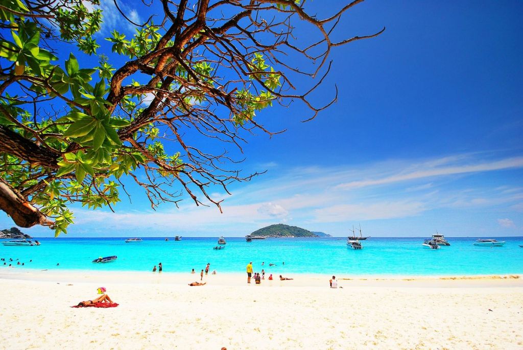 ფხუკეტი - სრული პაკეტი !!!