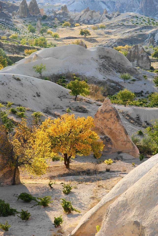 კაბადოკიის დღიანი ტურები