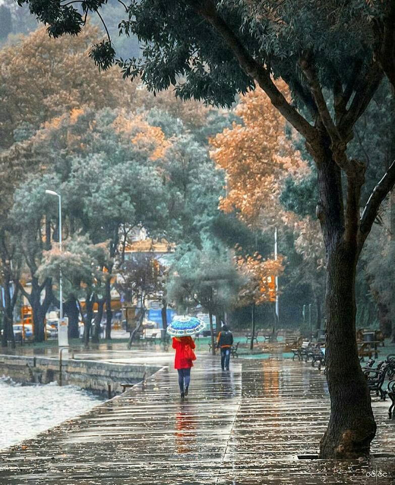 სტამბოლის დღიანი ტური!!! - ოქტომბერი