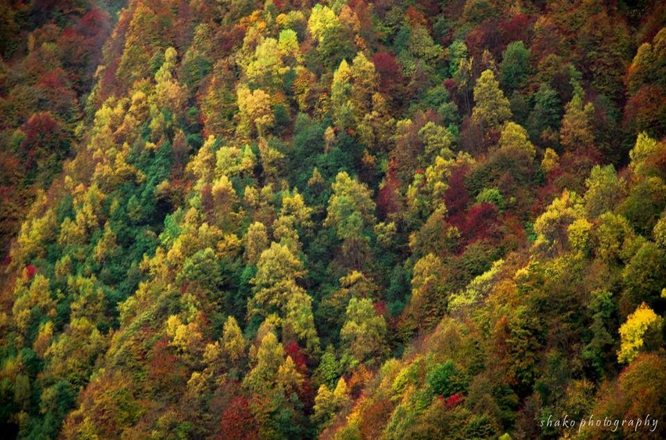 ზღაპრული გუდამაყარი!!! ოქტომბერს შაბათს