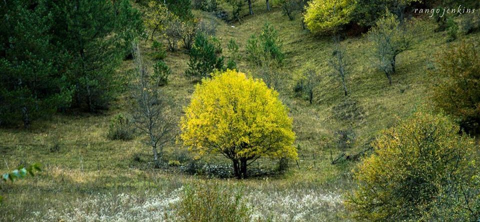 ზღაპრული გუდამაყარი!!! ოქტომბერს შაბათს