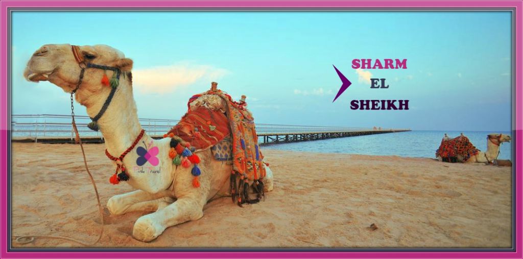 ეგვიპტე/შარმ ელ შეიხი