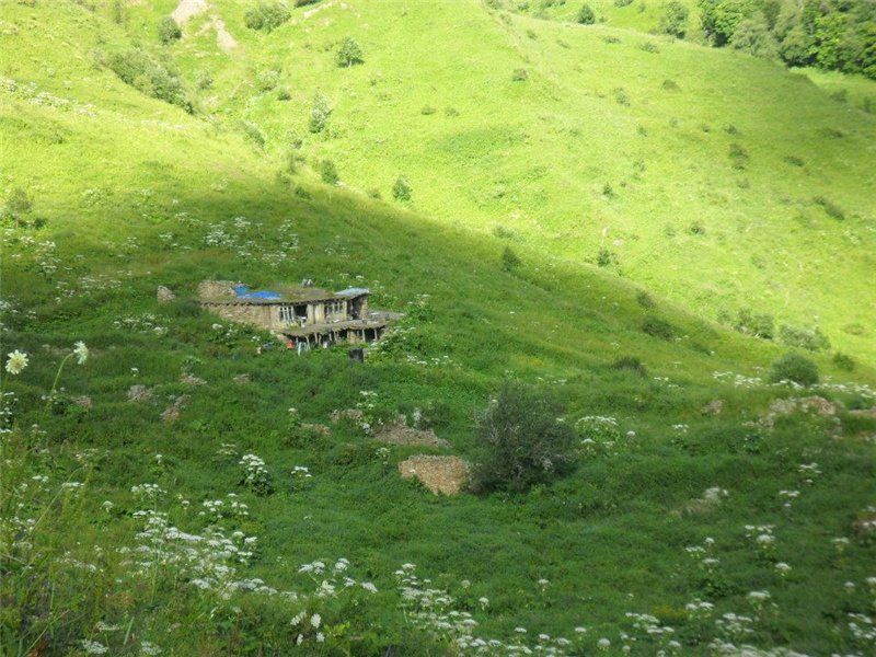 არხოტი. ჯიპ ტური