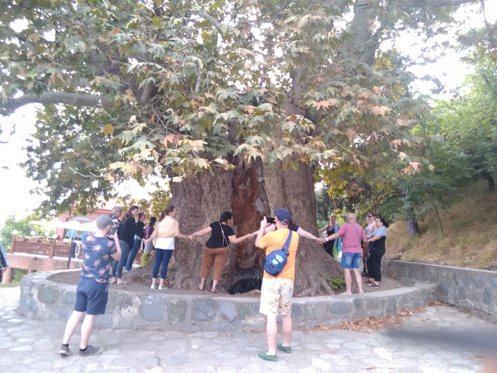 კახეთი : ღვინის ტური თელავში, წინანდალში და ყვარელში