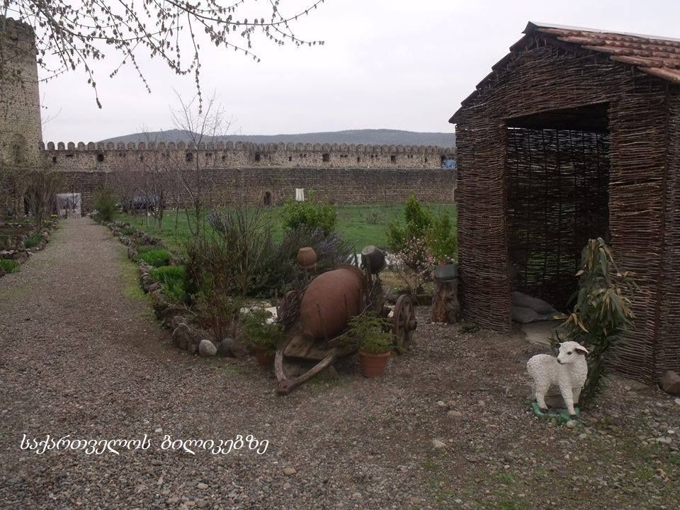 დმანისი (ზეზვა და მზია) ცურტავი, ქვეში, საკირე, ჭაპალა