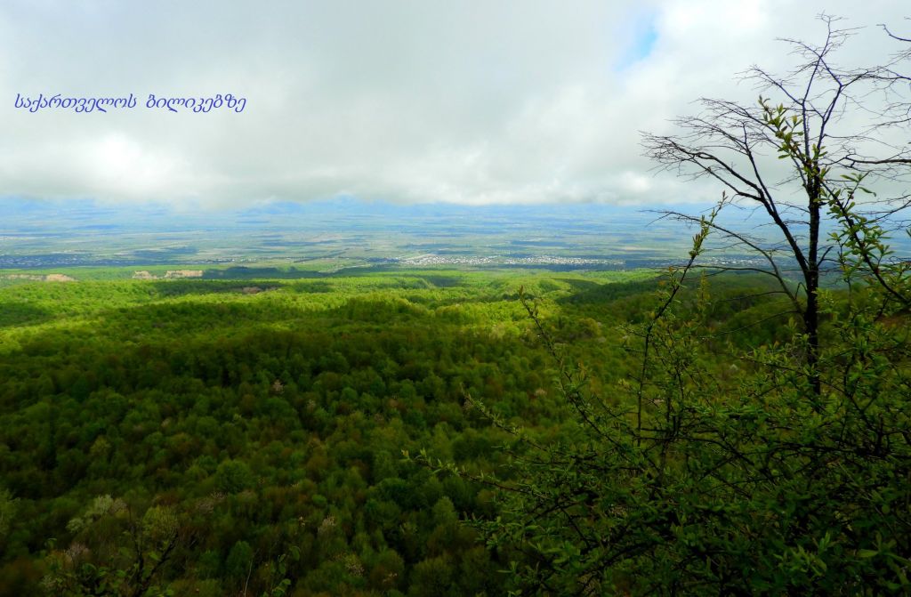 გურჯაანი: ყველაწმინდა, ვაჩნაძიანი, ზეგაანი, სანაგირე