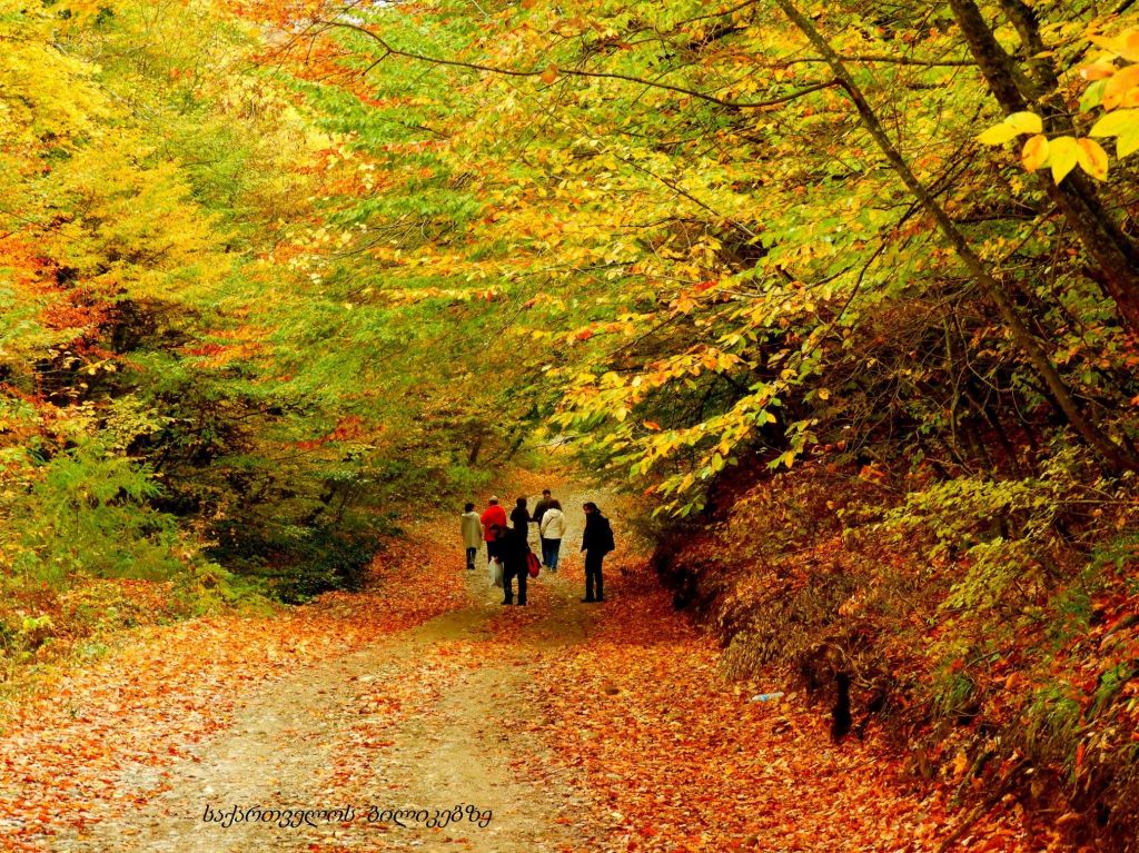 ზედაზენი, შიომღვიმე, საგურამო შემოდგომის ფერებში