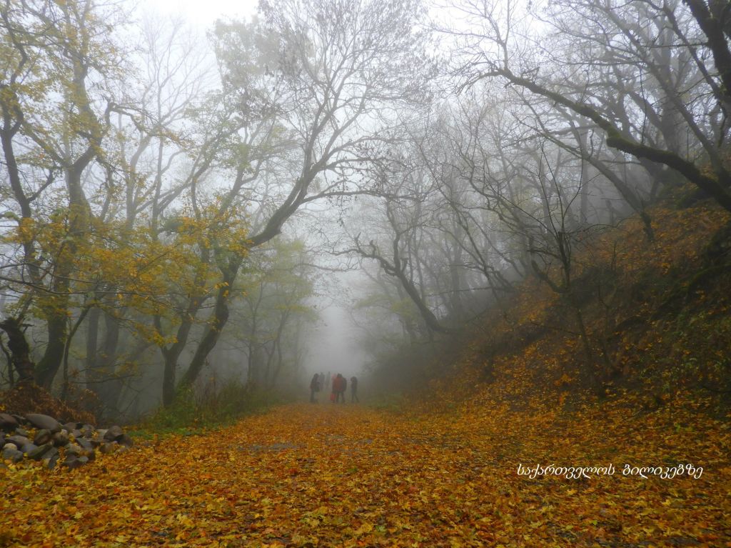 ზედაზენი, შიომღვიმე, საგურამო შემოდგომის ფერებში