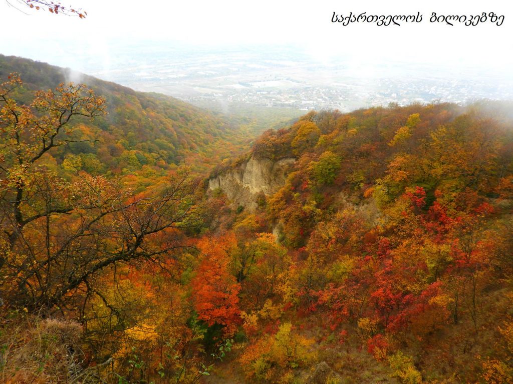 ზედაზენი, შიომღვიმე, საგურამო შემოდგომის ფერებში