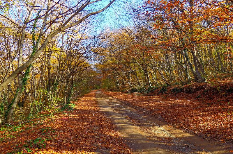 ზედაზენი-საგურამო