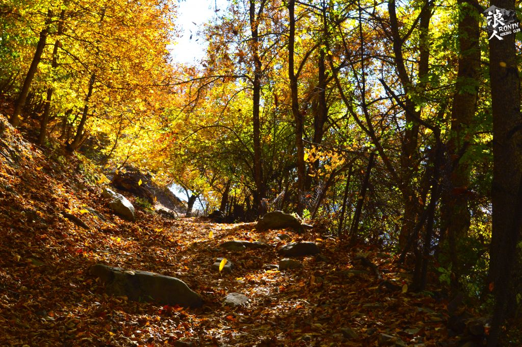 მოირონინე შემოდგომისფერი გუდამაყარი  ოქტომბერს