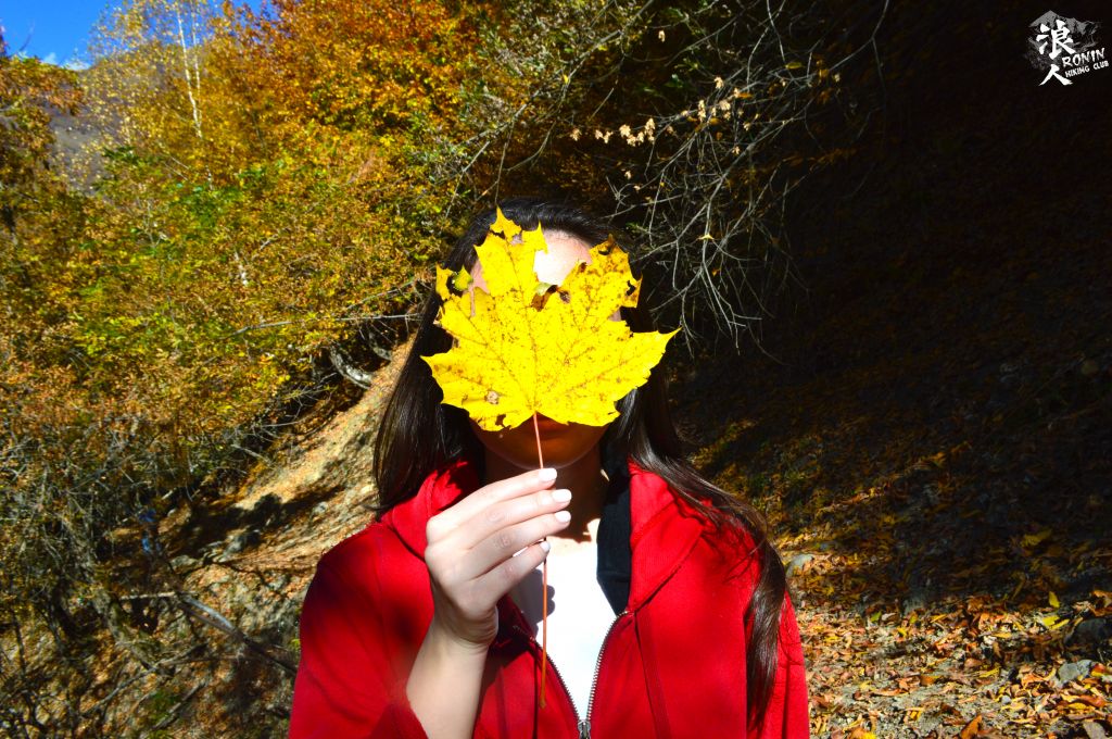 მოირონინე შემოდგომისფერი გუდამაყარი ოქტომბერს