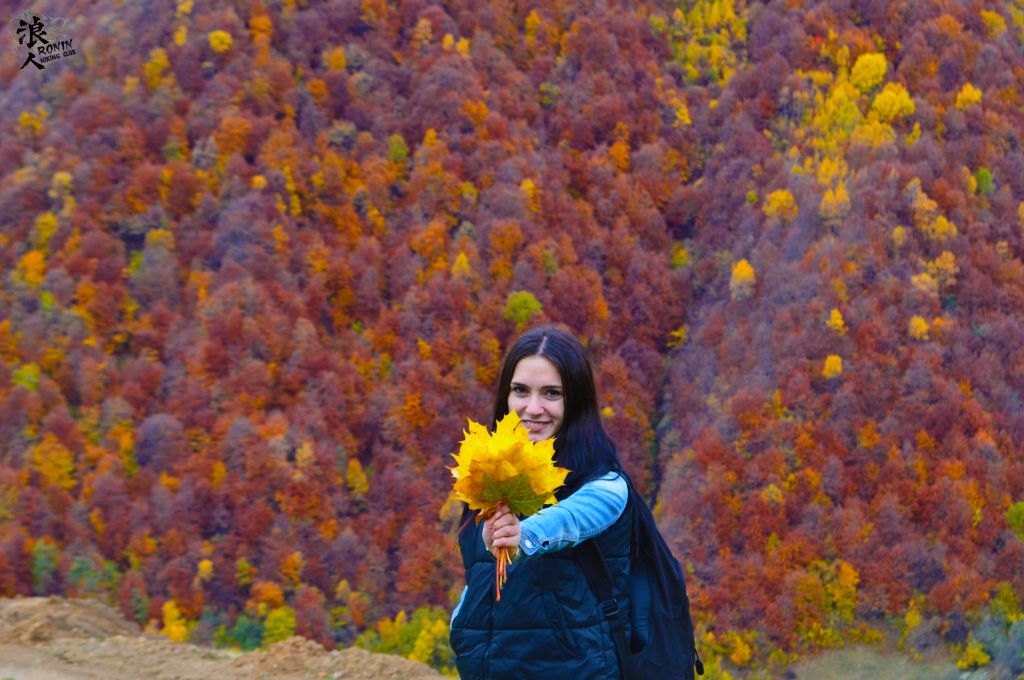 მოირონინე შემოდგომისფერი გუდამაყარი ოქტომბერს